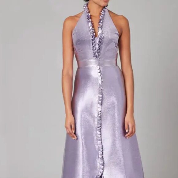 Temperley London Dresses & Skirts - Temperley London Moon Garden Dress NWT US Size 8